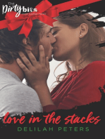 Love in the Stacks: A Spicy Christmas Novella