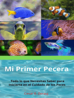 Mi Primer Pecera Todo lo que Necesitas Saber para Iniciarte en el Cuidado de los Peces