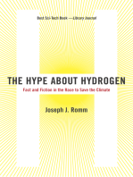 The Hype About Hydrogen