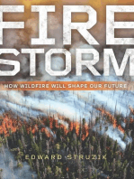 Firestorm: How Wildfire Will Shape Our Future