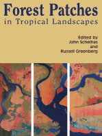 Forest Patches in Tropical Landscapes