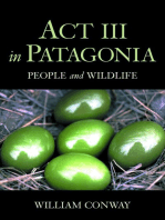 Act III in Patagonia