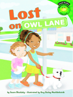 Lost on Owl Lane