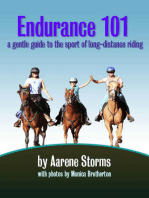 Endurance 101: a gentle guide to the sport of long-distance riding