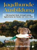 Jagdhundausbildung: Fährtenarbeit Hund, Antijagdtraining, Jagdverhalten bei Hunden und vieles mehr!