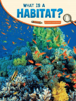 What Is a Habitat?