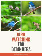 Bird Watching For Beginners