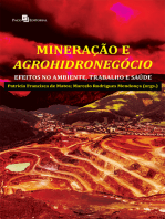 Mineração e agrohidronegócio