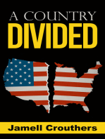 America, a Country Divided