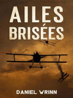 Ailes Brisées: La Grande Guerre Série