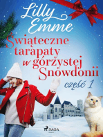 Świąteczne tarapaty w górzystej Snowdonii - część 1