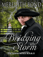 Bridging the Storm: Storm, #2