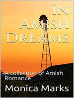 In Amish Dreams 