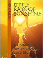 Little Rays of Sunshine A Collection of Amish Life and Love Stories