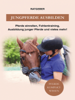 Jungpferde ausbilden: Pferde einreiten, Fohlen-Training, Ausbildung junger Pferde und vieles mehr!