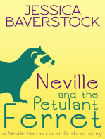 Neville and the Petulant Ferret