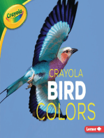 Crayola ® Bird Colors