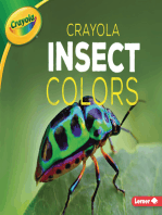 Crayola ® Insect Colors