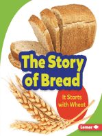 The Story of Bread