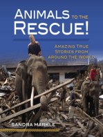 Animals to the Rescue!