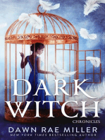 The Dark Witch Chronicles Boxset: The Dark Witch Chronicles