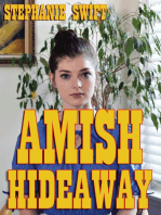Amish Hideaway