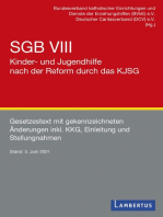 SGB VIII - Kinder- und Jugendhilfe nach der Reform durch das KJSG: Gesetzestext mit gekennzeichneten Änderungen, Überblick und Stellungnahmen