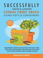 Successfully Grow and Garden Citrus Fruit Trees Using Pots and Containers