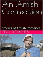 An Amish Connection