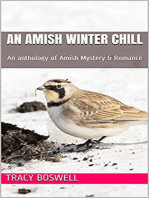 An Amish Winter Chill