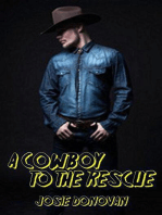 A Cowboy To The Rescue