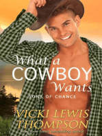 What a Cowboy Wants: Sons of Chance, #1