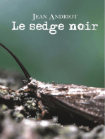 Le sedge noir