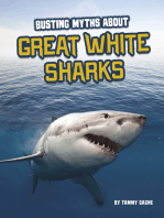 Busting Myths About Great White Sharks