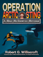 Operation Arctic Sting