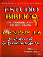 Estudio Bíblico Génesis 1-6 (Serie | Sobrevolando la Biblia): Enseñanzas de la Sana Doctrina: La Historia de la Creación hasta Noé: Sermones Bíblicos