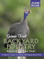 Guinea Fowl, Backyard Poultry: Keeping Guinea Fowl