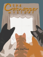 The Catnapper Mystery