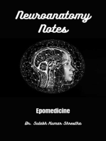 Neuroanatomy Notes