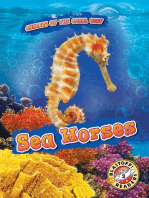 Sea Horses