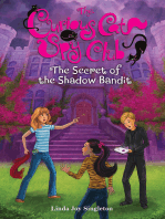 The Secret of the Shadow Bandit