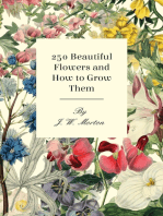 250 Beautiful Flowers and How to Grow Them