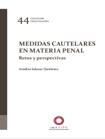 Medidas cautelares en materia penal: Retos y perspectivas