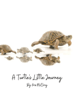 A Turtle's Little Journey