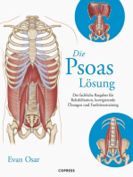 Die Psoas-Lösung