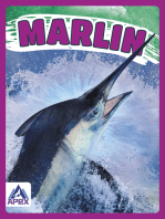 Marlin