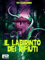 Il labirinto dei rifiuti