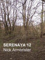 Serenaya 12