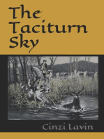 The Taciturn Sky