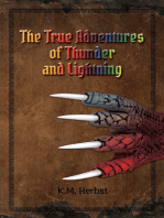 The True Adventures of Thunder and Lightning